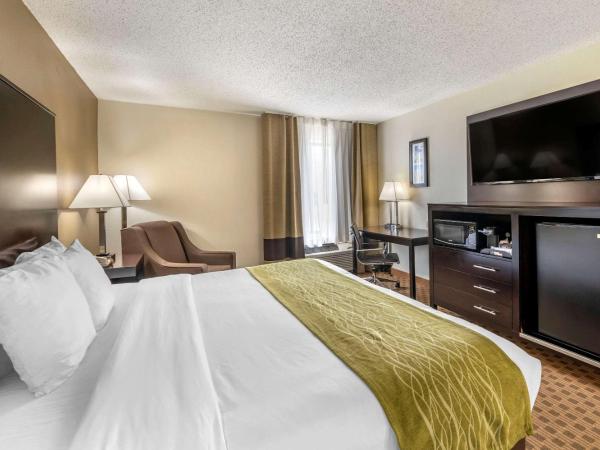 Comfort Inn East : photo 2 de la chambre chambre lit king-size