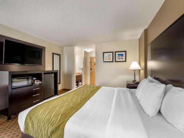 Comfort Inn East : photo 3 de la chambre chambre lit king-size