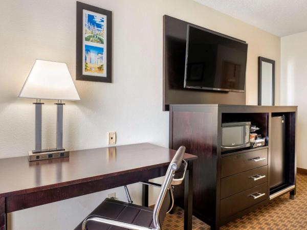 Comfort Inn East : photo 4 de la chambre chambre lit king-size