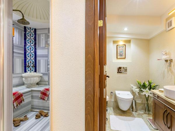 Best Point Hotel-Old City Sultanahmet : photo 10 de la chambre suite 2 chambres avec terrasse privée et hammam - vue sur mer