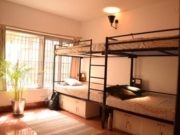 BE ANIMAL Hostel : photo 1 de la chambre lit simple dans dortoir de 10 lits