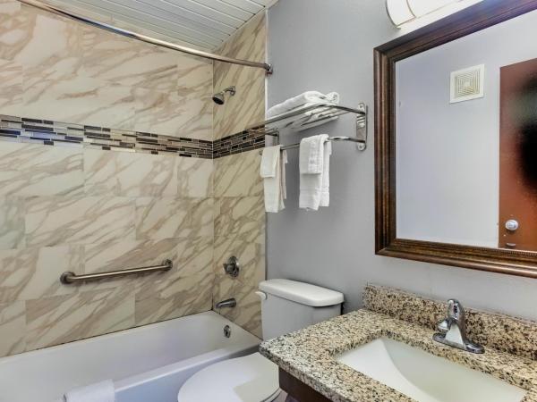 Days Inn by Wyndham Savannah Gateway I-95 : photo 2 de la chambre chambre lit king-size deluxe - non-fumeurs