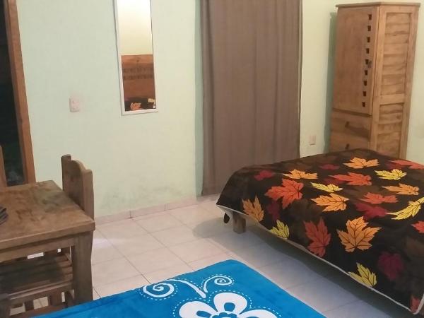 Hotel Villas Monteli Suites Cuernavaca : photo 7 de la chambre chambre lits jumeaux Économique