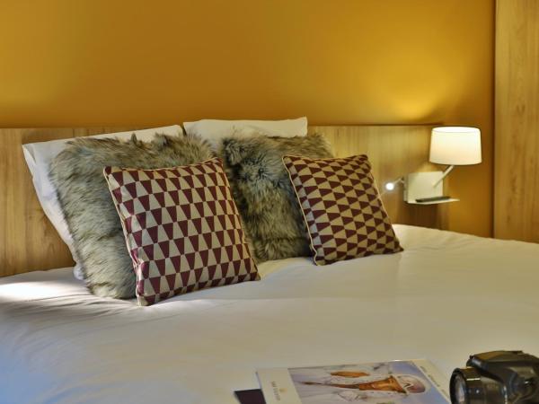 SOWELL HOTELS Mont Blanc et SPA : photo 9 de la chambre chambre double