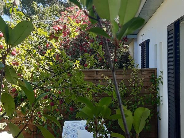 Les Suites d'Agosta : photo 9 de la chambre chambre double