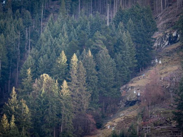 The Whistler Holiday Apartments : photo 7 de la chambre appartement supérieur 1 chambre