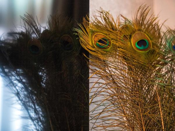 Cavallaro Hotel : photo 9 de la chambre chambre double supérieure