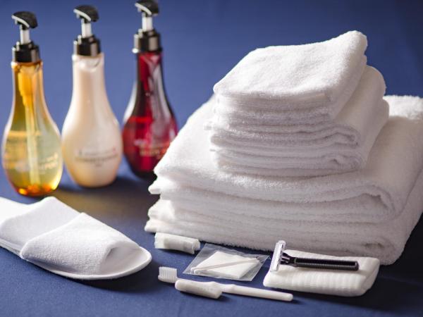 Hotel Tokyo Garden Palace : photo 5 de la chambre chambre simple - fumeurs