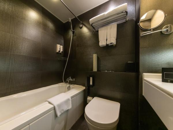 Starr Hotel Shanghai (Shanghai Railway Station) : photo 2 de la chambre studio lits jumeaux premier