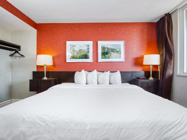 Town Inn Suites Hotel : photo 6 de la chambre studio