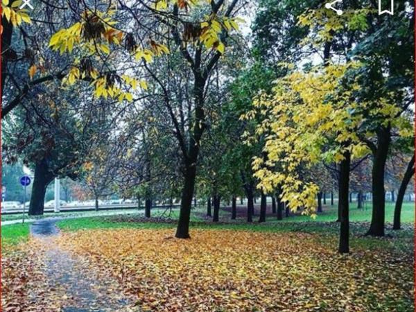 Stanze park delle favole : photo 1 de la chambre chambre double
