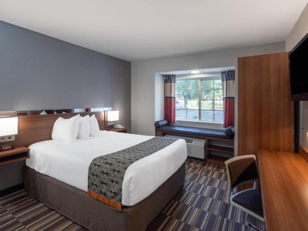 Microtel Inn & Suites by Wyndham Savannah/Pooler : photo 2 de la chambre chambre lit queen-size - pour personnes à mobilité réduite - douche accessible en fauteuil roulant - non-fumeurs 