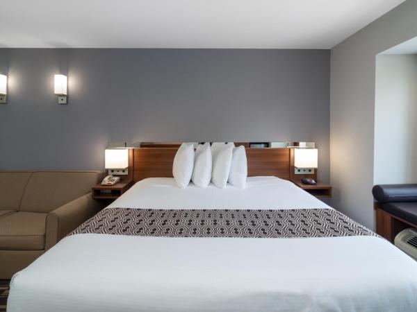 Microtel Inn & Suites by Wyndham Savannah/Pooler : photo 7 de la chambre chambre lit king-size - non-fumeurs