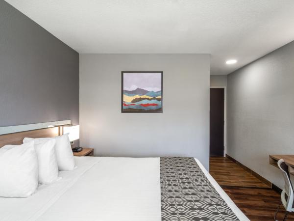 Microtel Inn & Suites by Wyndham Savannah/Pooler : photo 8 de la chambre chambre lit king-size - non-fumeurs