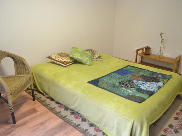 Zen Hostel Brasil : photo 4 de la chambre chambre double avec salle de bains privative - accessible via jardin