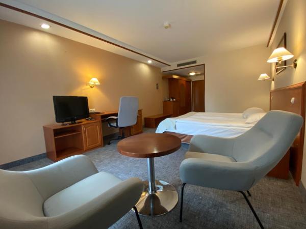 Hotel Ambasador Chojny : photo 3 de la chambre chambre double supérieure