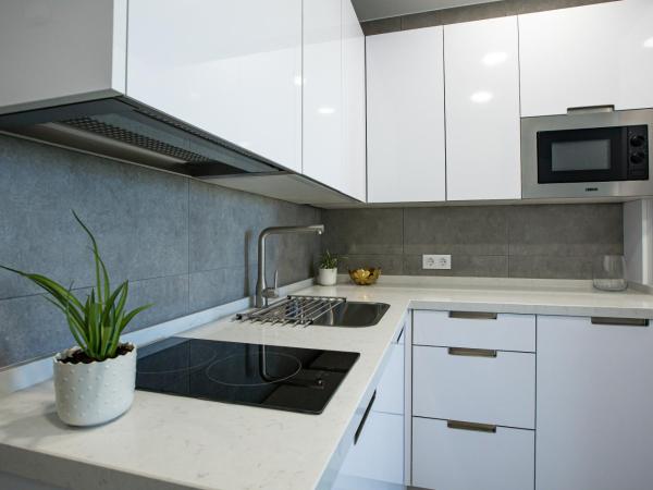 Apartamentos Ribera 19 : photo 7 de la chambre appartement supérieur