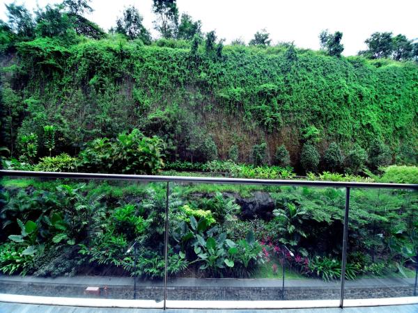 Oxford Golf Resort : photo 10 de la chambre suite with balcony at residences