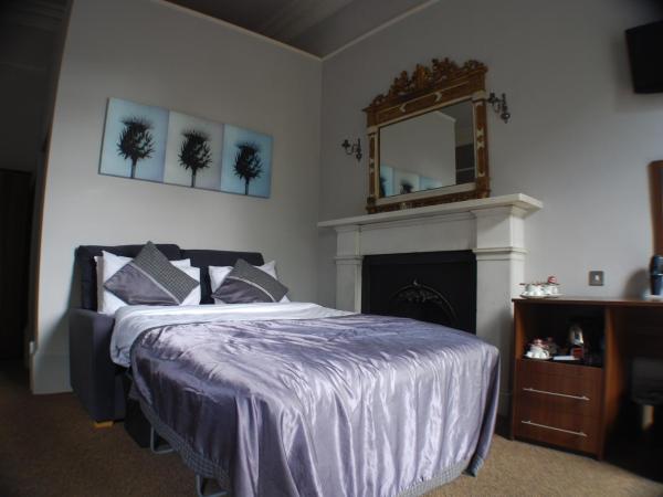 The Salisbury Hotel : photo 3 de la chambre chambre familiale