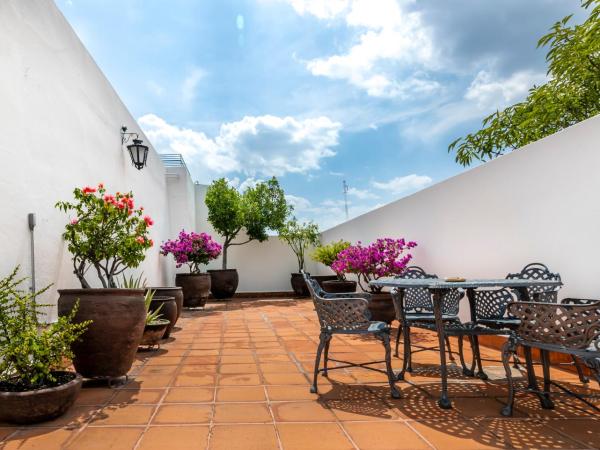 Hotel Boutique Naura Centro : photo 8 de la chambre double room pet-friendly