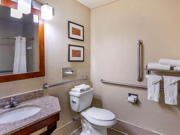 Comfort Inn Nashville West : photo 3 de la chambre chambre lit queen-size accessible aux personnes à mobilité réduite - non-fumeurs