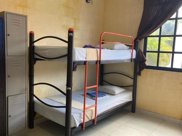 Hostal La Ermita : photo 4 de la chambre lit simple dans dortoir pour femmes