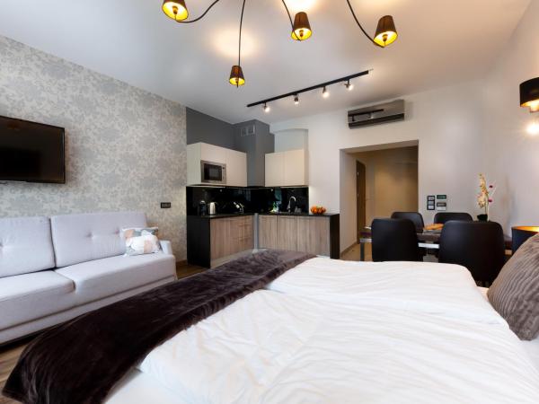 Aparthotel New Lux : photo 6 de la chambre appartement standard