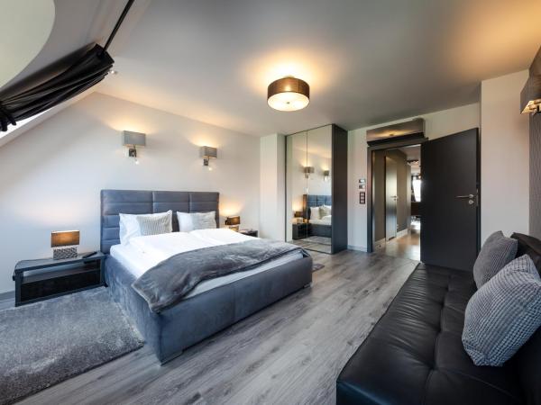 Aparthotel New Lux : photo 9 de la chambre penthouse