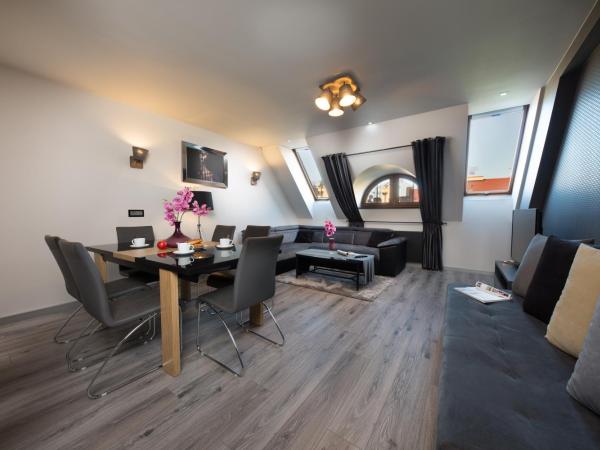 Aparthotel New Lux : photo 4 de la chambre appartement supérieur