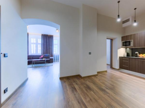 Aparthotel New Lux : photo 10 de la chambre appartement supérieur