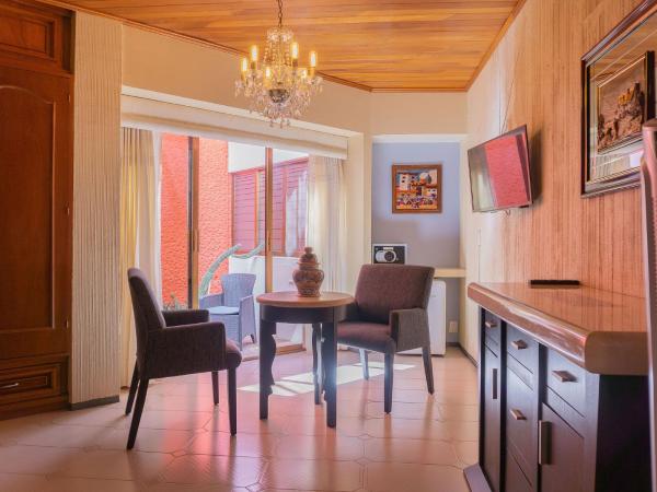 Hotel Casa Pereyra : photo 5 de la chambre studio standard