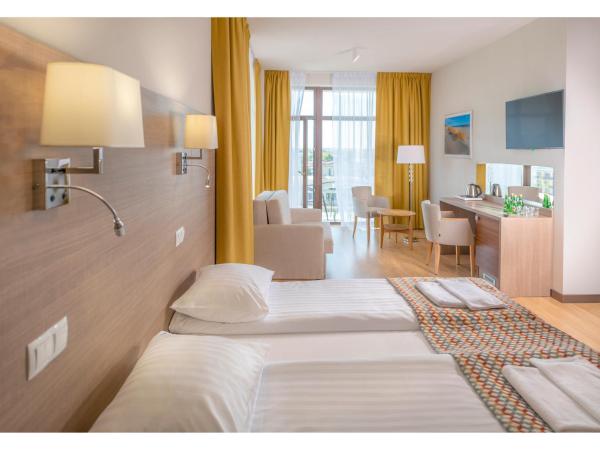 Olymp IV : photo 1 de la chambre studio avec canapé-lit