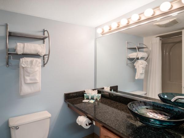 Palette Resort Myrtle Beach by OYO : photo 2 de la chambre studio lit king-size