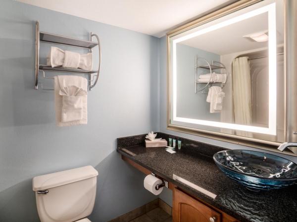 Palette Resort Myrtle Beach : photo 1 de la chambre studio lit king-size