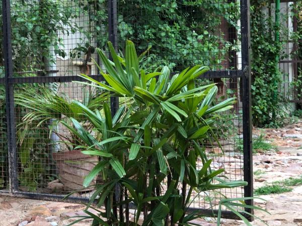 Bhoora House : photo 8 de la chambre chambre triple deluxe