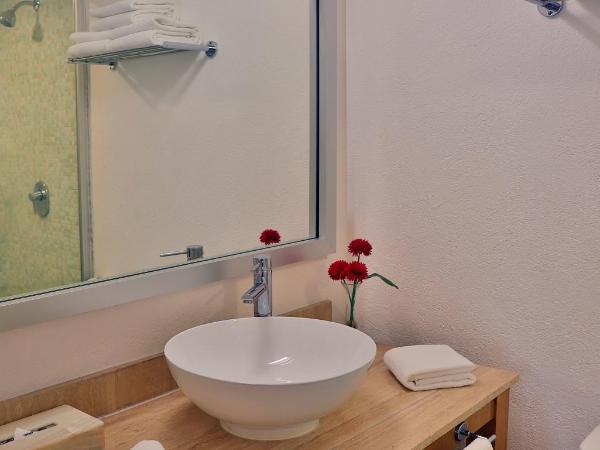 Adhara Express : photo 7 de la chambre chambre lit king-size standard