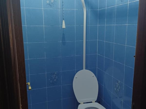 Hostal Forest : photo 6 de la chambre chambre simple standard avec douche