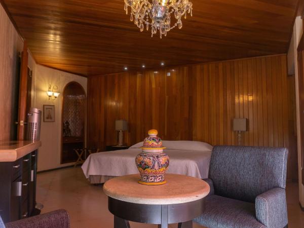 Hotel Casa Pereyra : photo 8 de la chambre studio standard