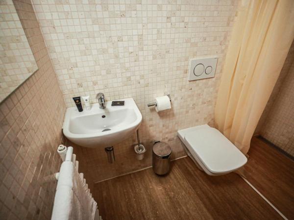 Hotel Ebersbach : photo 1 de la chambre chambre simple avec douche 