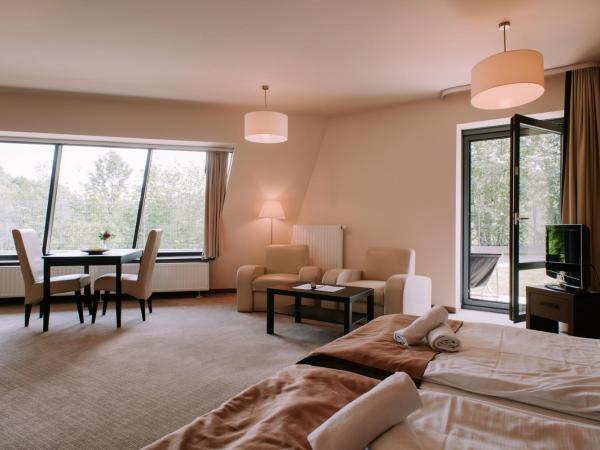 Szklane Domy : photo 5 de la chambre appartement studio jardin