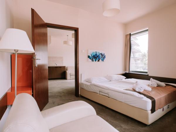 Szklane Domy : photo 2 de la chambre appartement 1 chambre (2 adultes)