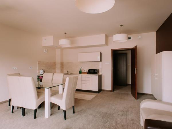 Szklane Domy : photo 2 de la chambre appartement 2 chambres avec vue sur la montagne