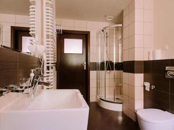 Szklane Domy : photo 10 de la chambre appartement 2 chambres avec vue sur la montagne