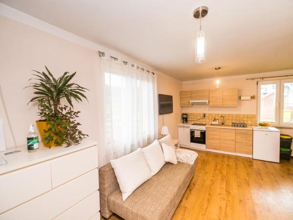 Pogodne Siedlisko Karpacz : photo 5 de la chambre studio