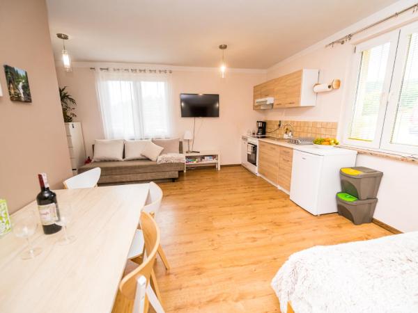 Pogodne Siedlisko Karpacz : photo 6 de la chambre studio