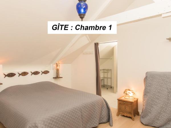 chambre d'hôte et gîte du jardin des corsaires : photo 8 de la chambre appartement - vue sur jardin