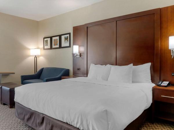 Comfort Inn & Suites Near Six Flags & Medical Center : photo 4 de la chambre chambre lit king-size - non-fumeurs