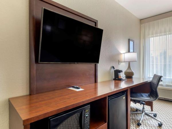 Comfort Inn & Suites Near Six Flags & Medical Center : photo 5 de la chambre chambre lit king-size - non-fumeurs