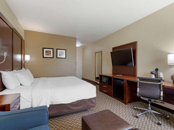 Comfort Inn & Suites Near Six Flags & Medical Center : photo 7 de la chambre chambre lit king-size - non-fumeurs