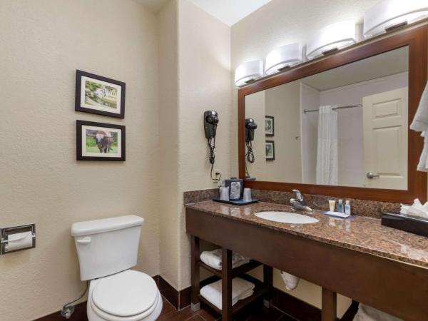 Comfort Inn & Suites Near Six Flags & Medical Center : photo 1 de la chambre chambre lit king-size - non-fumeurs